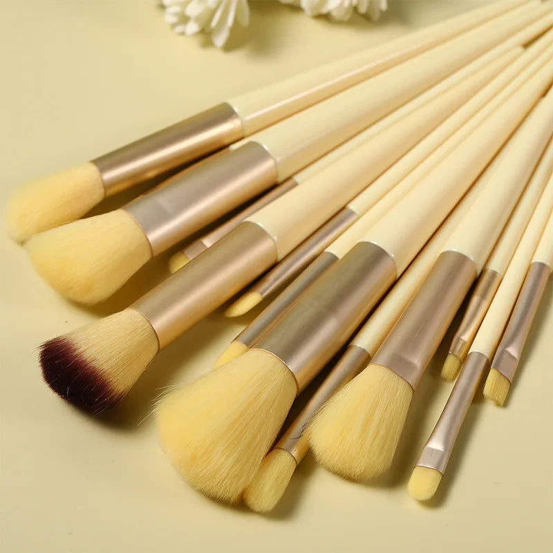 13 PCS Makeup Brush Set With Make Up Tools Bag