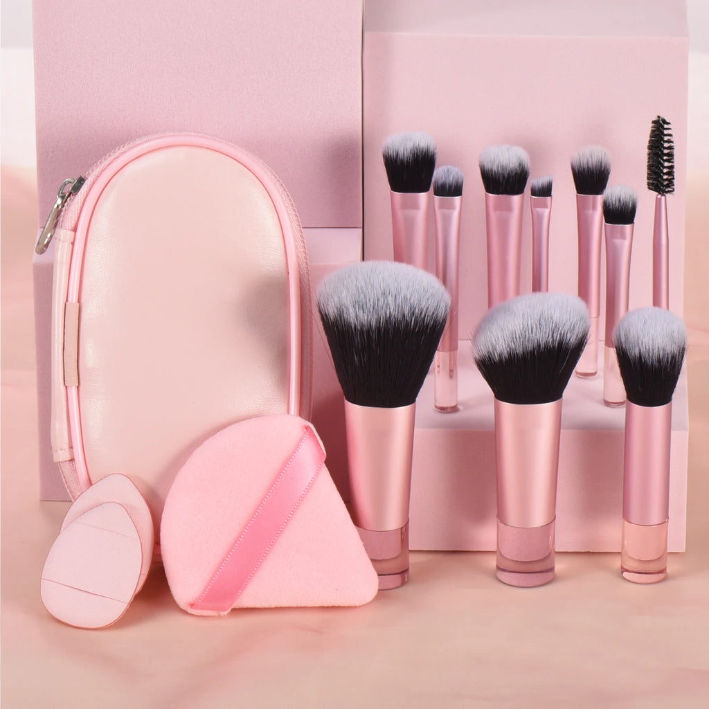 10 Pink Mini makeup brush Travel Makeup tool set