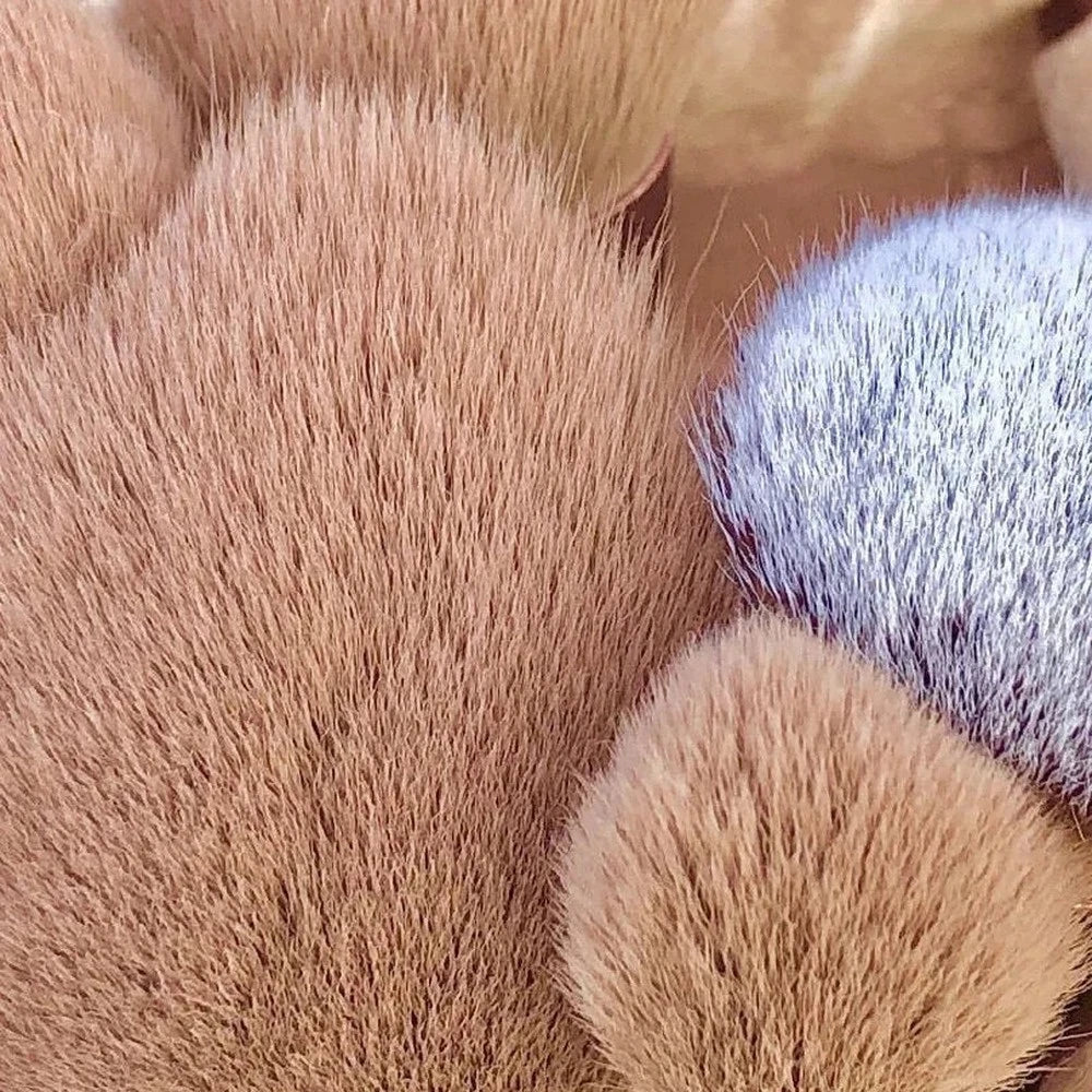 13 PCS Makeup Brush Set With Make Up Tools Bag