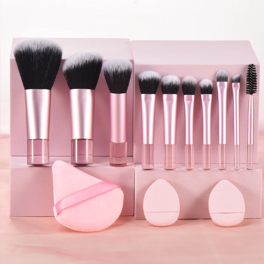 10 Pink Mini makeup brush Travel Makeup tool set