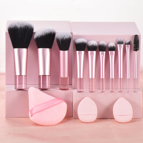 10 Pink Mini makeup brush Travel Makeup tool set